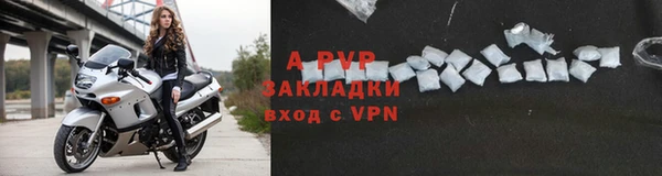 ГАЛЛЮЦИНОГЕННЫЕ ГРИБЫ Ростов