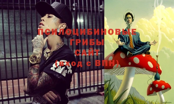 ГАЛЛЮЦИНОГЕННЫЕ ГРИБЫ Ростов