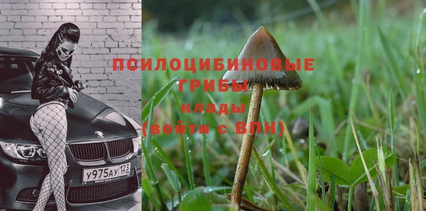 каннабис Абаза