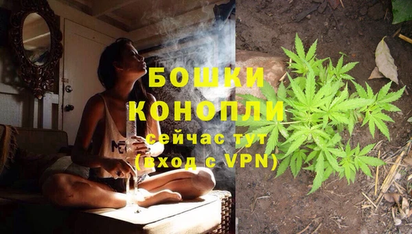 ГАЛЛЮЦИНОГЕННЫЕ ГРИБЫ Ростов