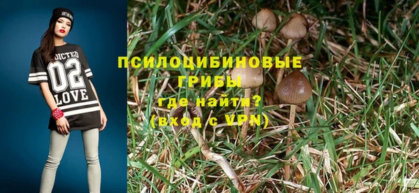ГАЛЛЮЦИНОГЕННЫЕ ГРИБЫ Ростов