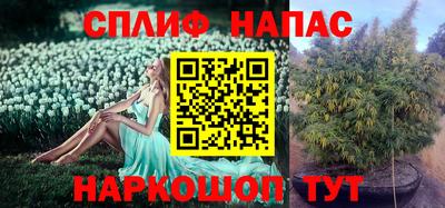 дурь Жуковский