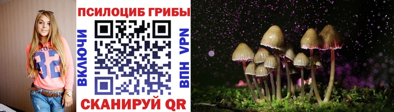 где продают   Кудымкар  Псилоцибиновые грибы мицелий 